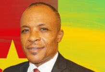 Dr Samuel Dongmo, président du Haut Conseil des Camerounais de l’Extérieur (HCCE), USA, Coordinateur du CODIMED237