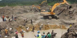 Exploitation aurifère