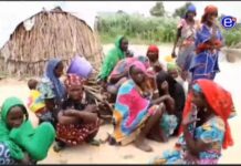 Mutilation féminine