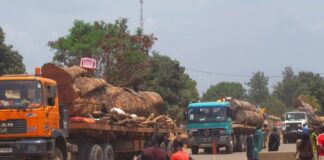 Axe Ngaoundéré-Meiganga