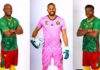 Le capitanat des lions indomptables