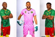 Le capitanat des lions indomptables