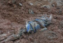 𝘿𝙍𝘼𝙈𝙀 𝙁𝘼𝙇𝘼𝙄𝙎𝙀 𝘿𝙀 𝘿𝙎𝘾𝙃𝘼𝙉𝙂 𝘿𝙐 5 𝙉𝙊𝙑𝙀𝙈𝘽𝙍𝙀 2024