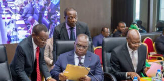 Constitution de 1996