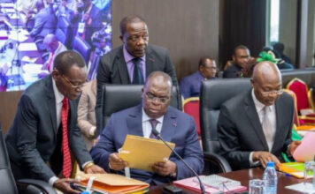 Constitution de 1996