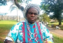 Histoire du Cameroun