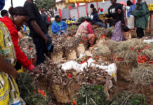 Bourses agricoles : Régler les problèmes d’abondances et de pénuries sur le marché