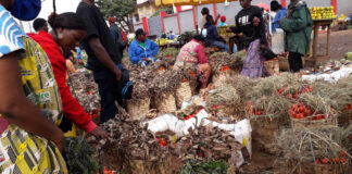 Bourses agricoles : Régler les problèmes d’abondances et de pénuries sur le marché