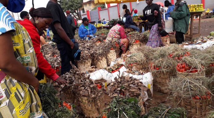 Bourses agricoles : Régler les problèmes d’abondances et de pénuries sur le marché