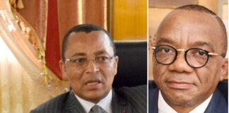 Paralysie du Port Autonome de Douala