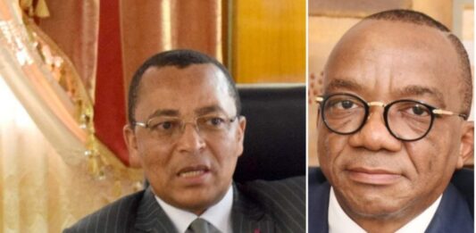 Paralysie du Port Autonome de Douala