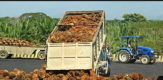 💰 Bourses agricoles