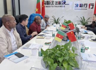 Secteur minier : Coopération bilatérale Afrique-Chine