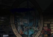 Université de Dschang : Le Crépuscule d’un Géant ? Entre Portails Clos et Colère Estudiantine