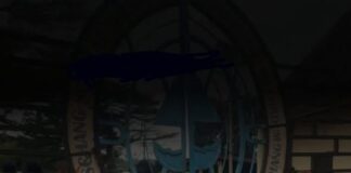 Université de Dschang : Le Crépuscule d’un Géant ? Entre Portails Clos et Colère Estudiantine