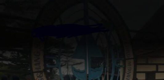 Université de Dschang : Le Crépuscule d’un Géant ? Entre Portails Clos et Colère Estudiantine