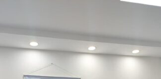 Francophonie : La célébration sous le signe du plurilinguisme à l’Université de Bertoua