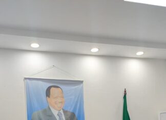 Francophonie : La célébration sous le signe du plurilinguisme à l’Université de Bertoua