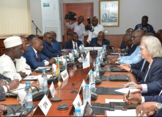 Gouvernance financière : Le FMI tire la sonnette d’alarme sur l’omniprésence de l’État au Cameroun