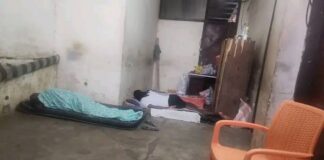 Migrants camerounais expulsés des USA : Libération des 10 détenus à la direction de la police judiciaire à Yaoundé