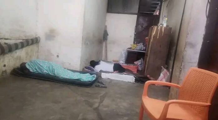Migrants camerounais expulsés des USA : Libération des 10 détenus à la direction de la police judiciaire à Yaoundé