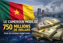 Taux d’intérêt : Un élément essentiel du marché financier. L’actualité économique ces derniers temps porte sur les emprunts effectués par le gouvernement en vue de financer les projets dits structurants : barrages, routes etc.