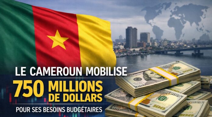 Taux d’intérêt : Un élément essentiel du marché financier. L’actualité économique ces derniers temps porte sur les emprunts effectués par le gouvernement en vue de financer les projets dits structurants : barrages, routes etc.
