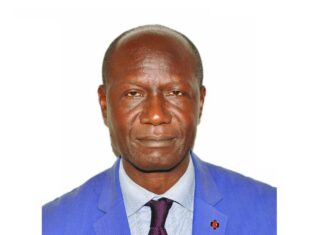 Visite papale : Malédictions, pétrole et assassinats : Le diagnostic sans complaisance de Babissakana au Pape