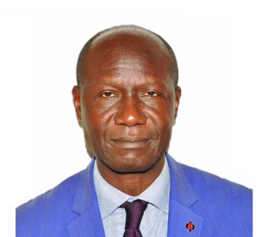 Visite papale : Malédictions, pétrole et assassinats : Le diagnostic sans complaisance de Babissakana au Pape