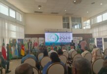 🇨🇲🤝🌎 Feipal 2026 : Le « Pari Latin » du Cameroun pour briser ses chaînes économiques