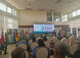 🇨🇲🤝🌎 Feipal 2026 : Le « Pari Latin » du Cameroun pour briser ses chaînes économiques