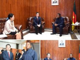 Scandale du don chinois de riz au Cameroun : Voici ce qui fait vraiment mal