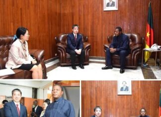 Scandale du don chinois de riz au Cameroun : Voici ce qui fait vraiment mal