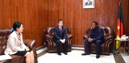 Scandale du don chinois de riz au Cameroun : Voici ce qui fait vraiment mal