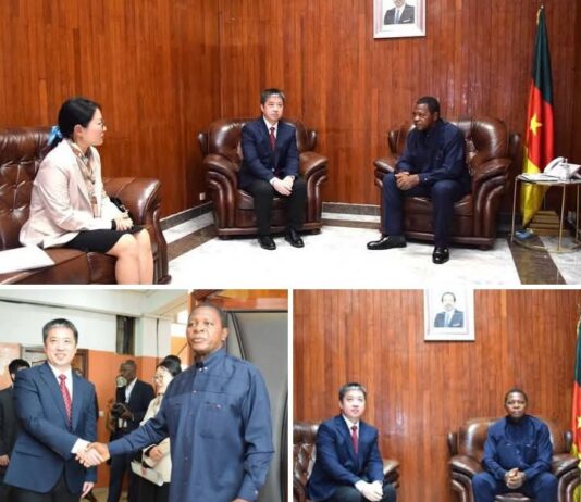 Scandale du don chinois de riz au Cameroun : Voici ce qui fait vraiment mal