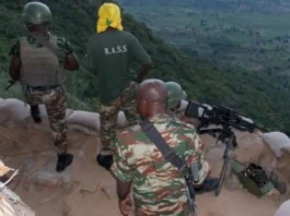 Nord-Ouest Cameroun : Le sang coule à nouveau après la « Trêve Papale »