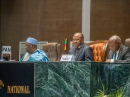 Assemblée nationale : Un épilogue en « queue de poisson » et des doutes persistants