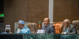 Assemblée nationale : Un épilogue en « queue de poisson » et des doutes persistants