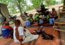 Santé Publique : L’Extrême-Nord du Cameroun face à un cocktail épidémique alarmant