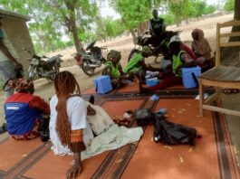 Santé Publique : L’Extrême-Nord du Cameroun face à un cocktail épidémique alarmant