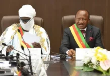 Débats constitutionnels et succession au sommet de l’État : la « double précipitation » législative d’avril 2026 ou le silence assourdissant de Paul Biya