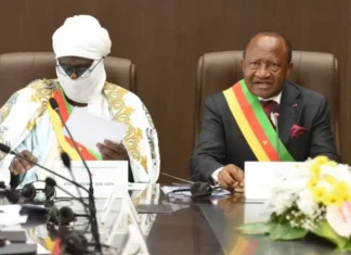 Débats constitutionnels et succession au sommet de l’État : la « double précipitation » législative d’avril 2026 ou le silence assourdissant de Paul Biya