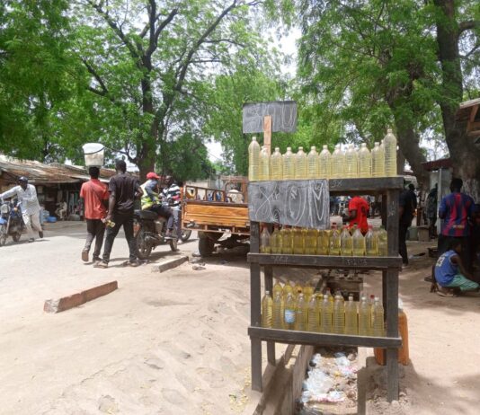 Crise du carburant dans le Grand-Nord : le « Zoa-Zoa » flambe, les transports s’enflamment