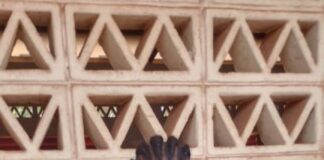 Bénin : Présidentielles du 12 Avril 2026