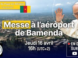 Visite du Pape à Bamenda : Entre ferveur mystique et défi sécuritaire
