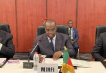 Gouvernement contre Loi : L’analyse de l’arrêté Minddevel/Minfi