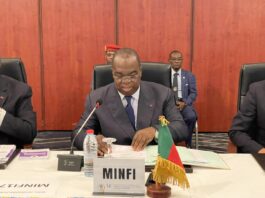 Gouvernement contre Loi : L’analyse de l’arrêté Minddevel/Minfi