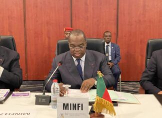 Gouvernement contre Loi : L’analyse de l’arrêté Minddevel/Minfi
