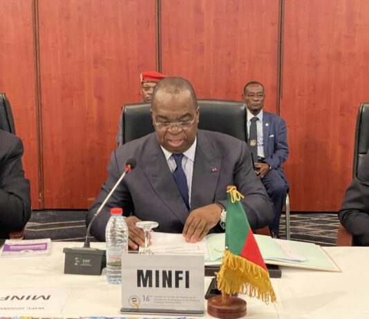 Gouvernement contre Loi : L’analyse de l’arrêté Minddevel/Minfi