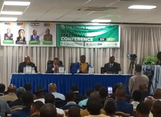 Le Cameroun au défi de l’équation du développement : Quand les maths s’invitent au chevet de la Nation